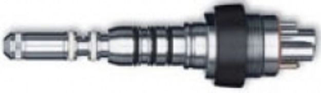 517439.jpg