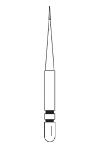 529013g.jpg