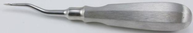 552505.jpg