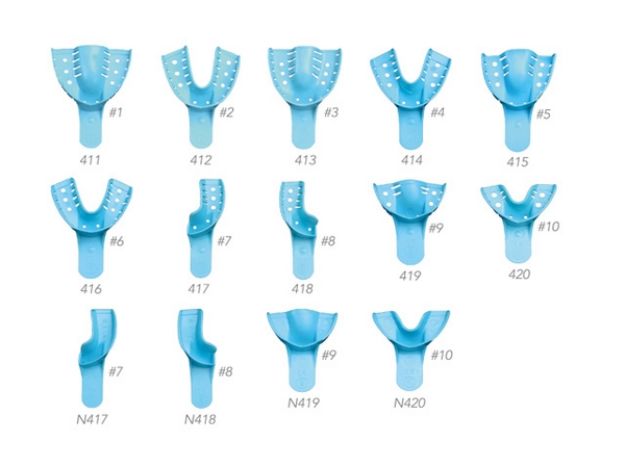 555944.jpg