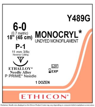 572005.jpg