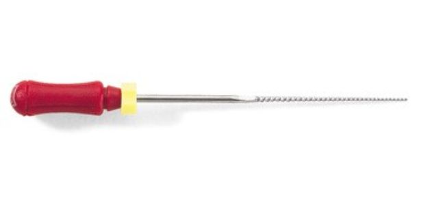 506461g.jpg