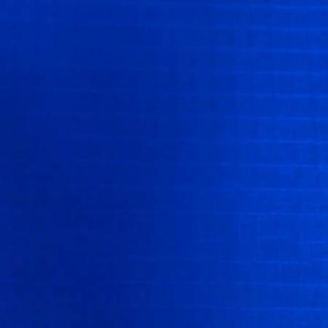 589172.jpg