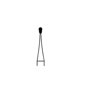 550031_.png