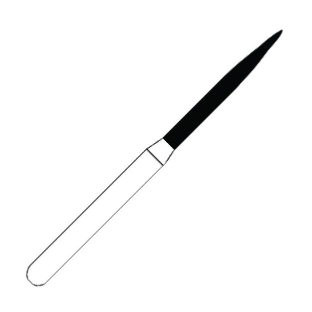 555073_.jpg