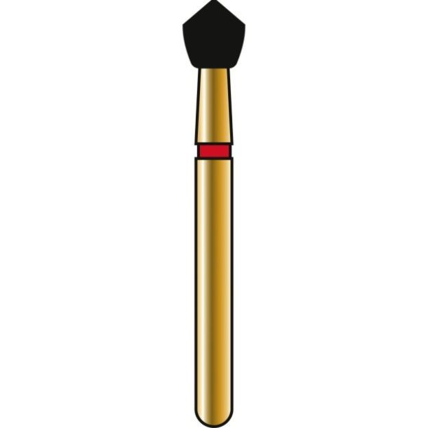 503053_.jpg