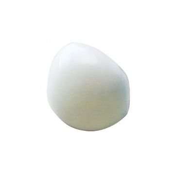 581469_.jpg