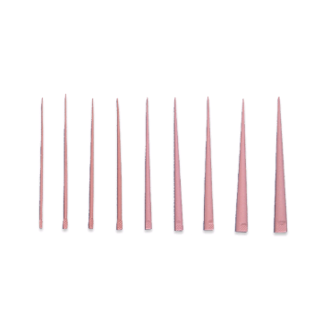 Premier Gutta Percha Points, Medium/Fine - Regular Taper, Conventional, 9056103, 120/Box