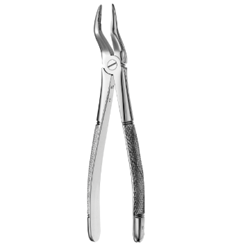 HuFriedy Surgical Forceps, European Style, #51, Upper Roots, Serrated, FX51, 1/Pkg