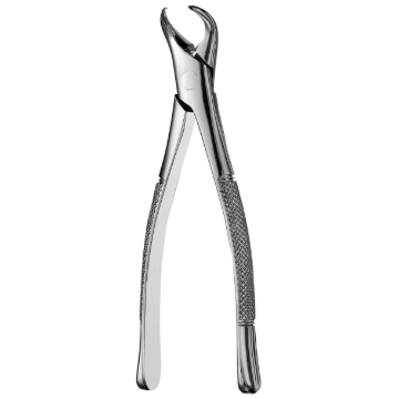 HuFriedy Surgical Forceps, Extraction, #24