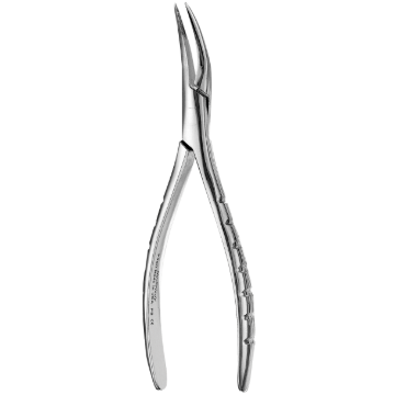 Presidential Extracting Forceps, #300, Upper Roots, Serrated, F300, 1/Pkg