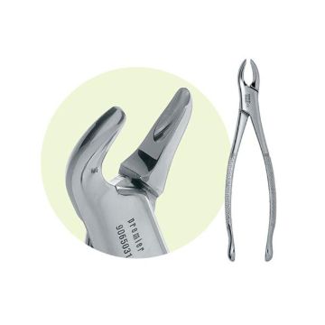 Premier Surgical Forceps, Mandibular, #151, Serrated, Incisors, Canines, and Premolars, 9065077, 1/Pkg