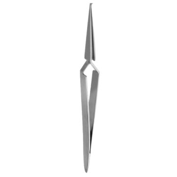586686_.png