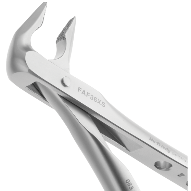 585891_.png
