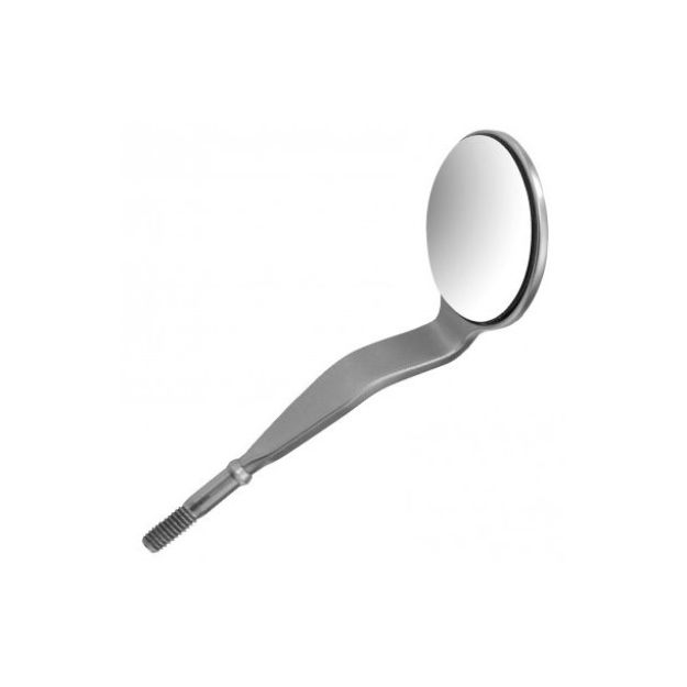 515566_.jpg