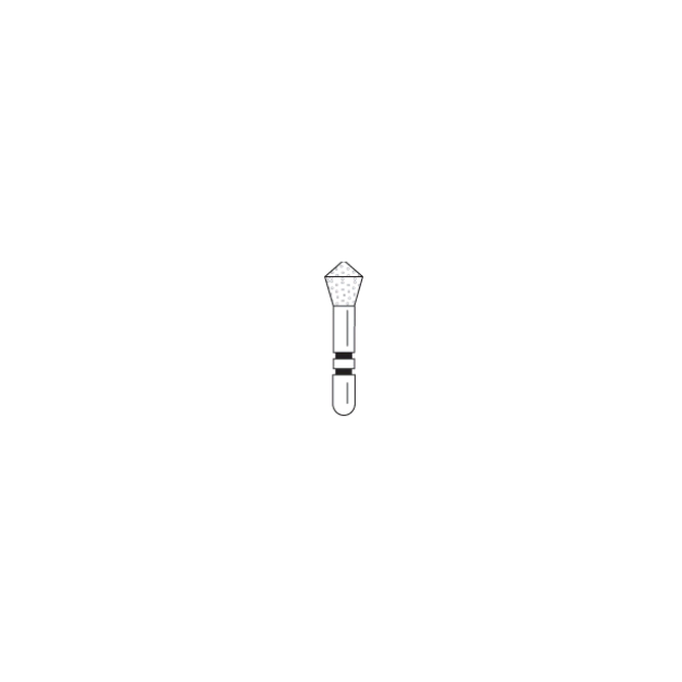 529031_.png
