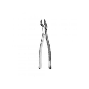 515171_.jpg