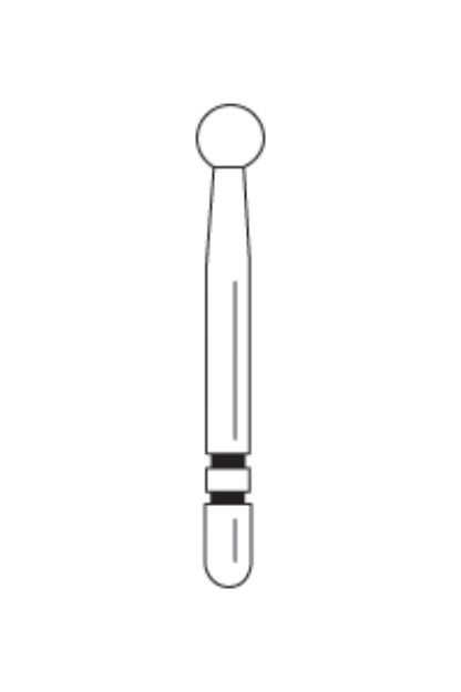 529027g.jpg