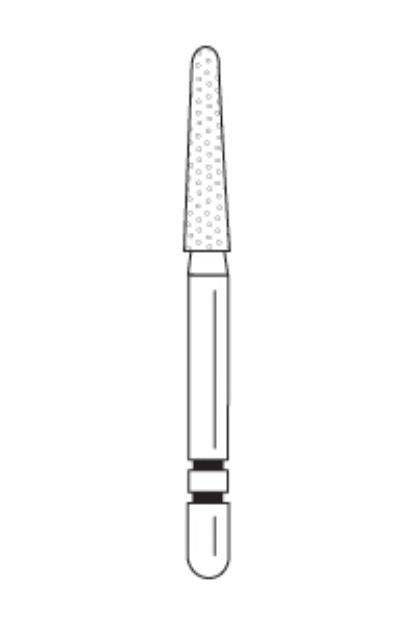 559282g.jpg