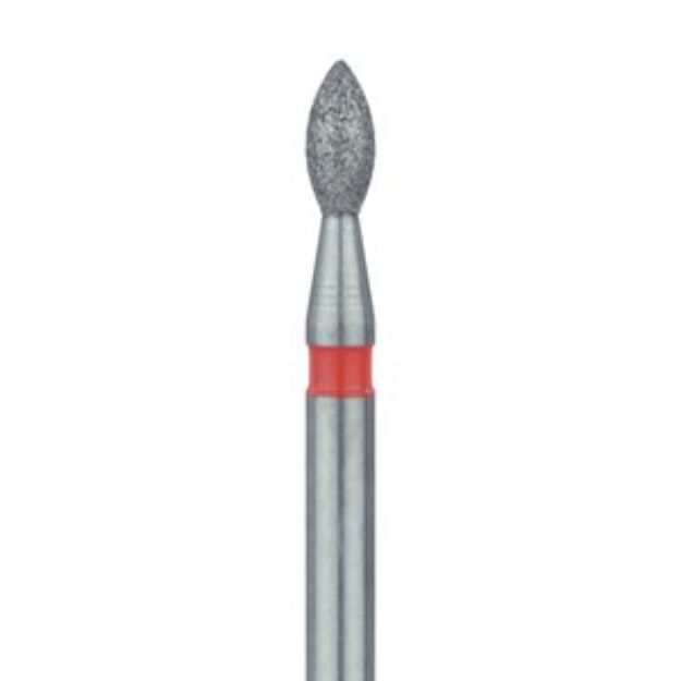 539085m.jpg