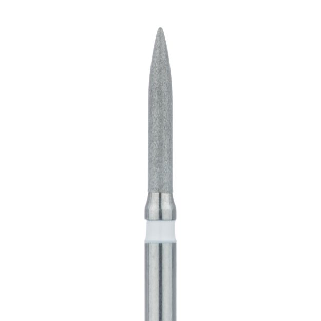 539289m.jpg