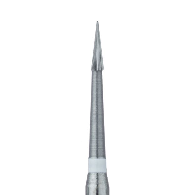 540084m.jpg