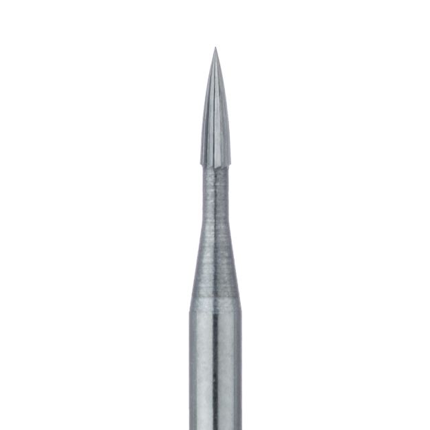 540136m.jpg