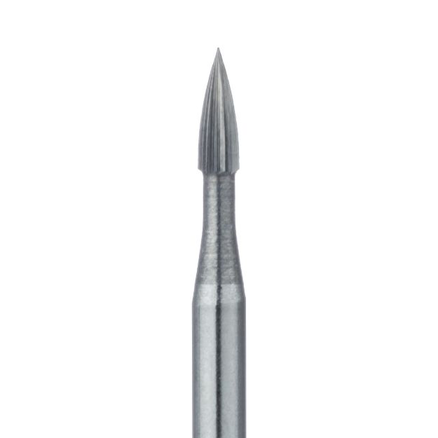 540138m.jpg