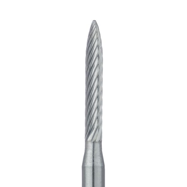 540206m.jpg