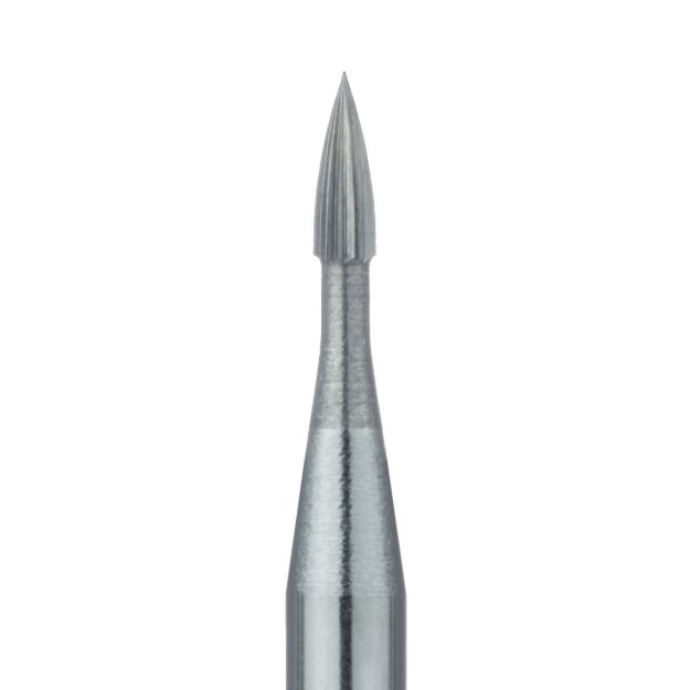 561494m.jpg